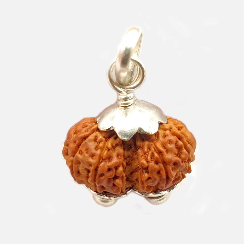 about Gauri Shankar Rudraksha