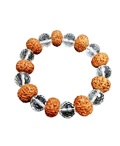 7 Mukhi Saftik Rudraksh Bracelete in Haryana