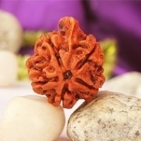 Ganesh Rudraksha in Haryana